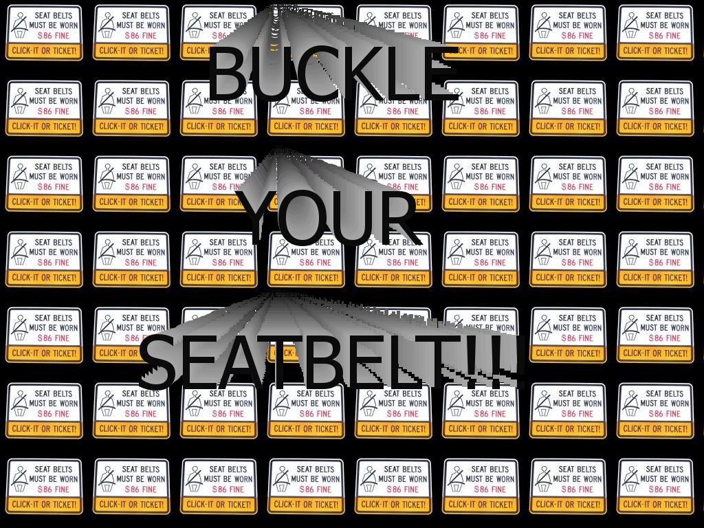 seatbelt