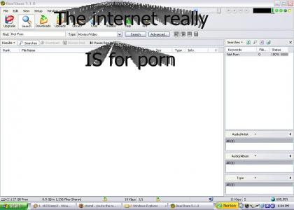 Not Porn?