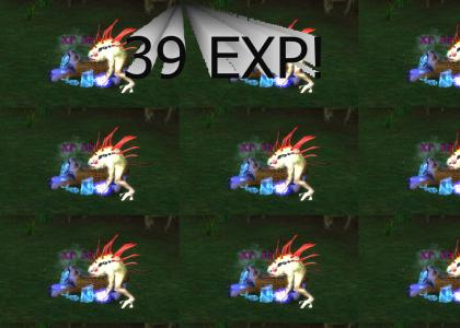 39 exp!