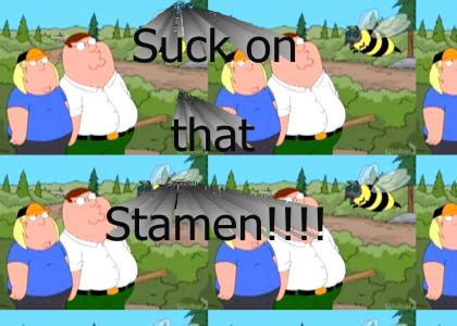 Family Guy Gay Bee