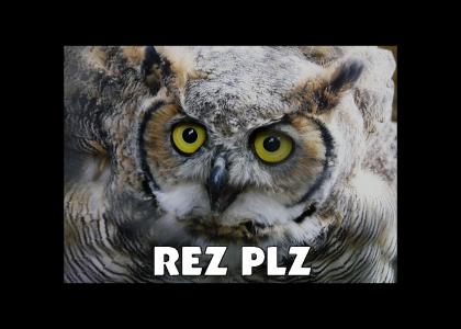 REZ PLZ OWL