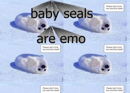 baby seals are emo