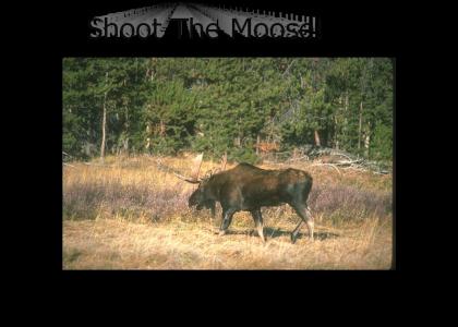 Moose Hunting