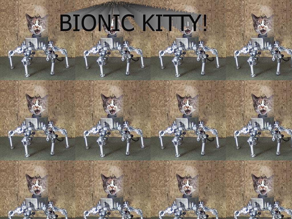 BIONIC-CAT