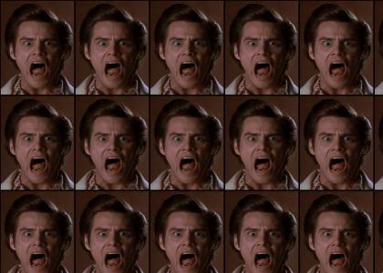 Ace Ventura: whoooooooaaaAAAAAAAHHHH!