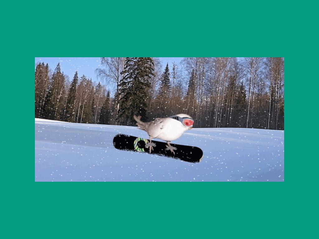 snowboardbird