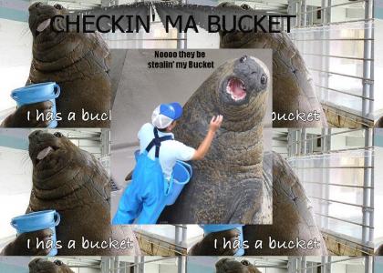 CHECKIN MA BUCKET