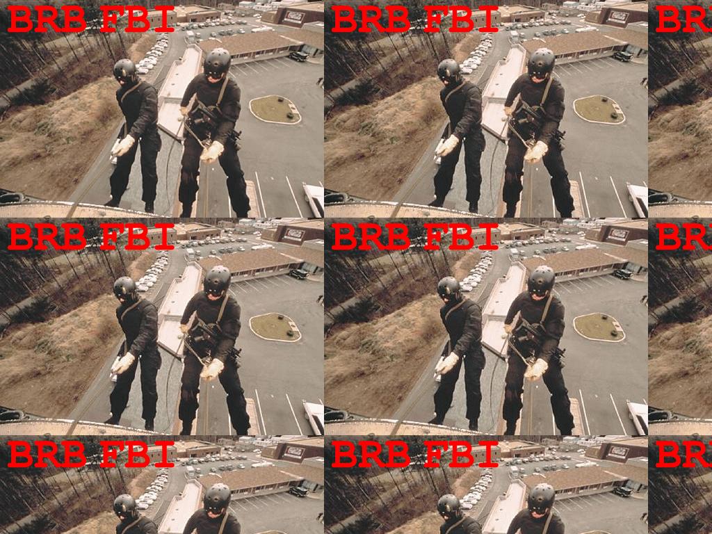 brbfbi2
