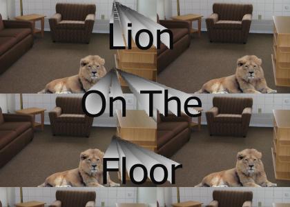 Lion On The Floor