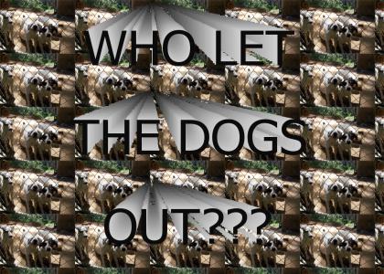 WHO LET THE DOGS OUT?