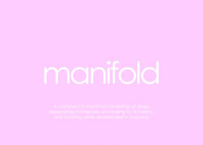 manifold