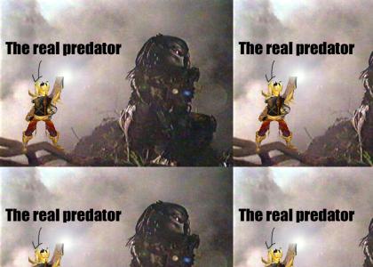 The real predator