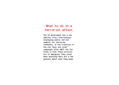 What to do in a terrorist attack