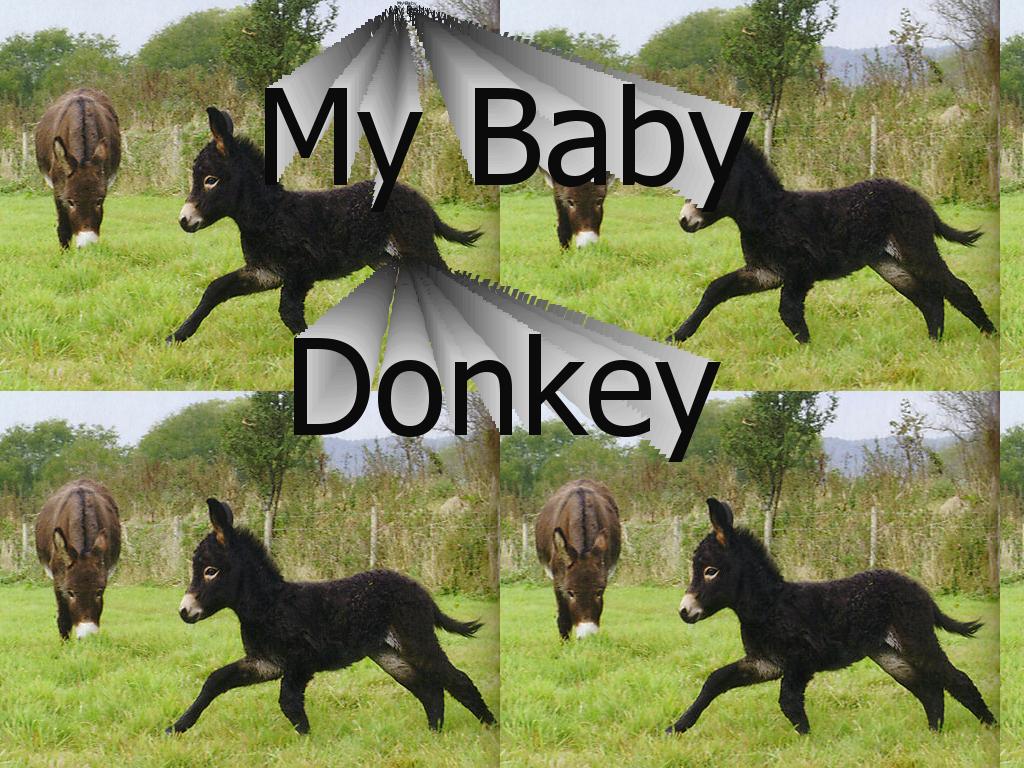 beatlesdonkey