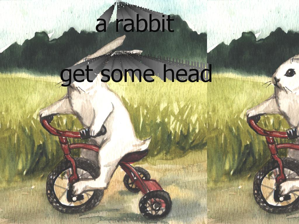 rabbithead