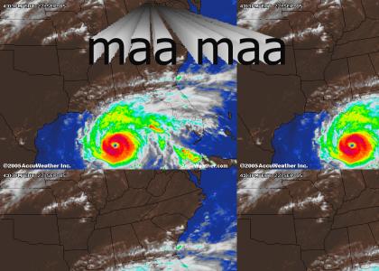 Hurricane Rita is Coming!!