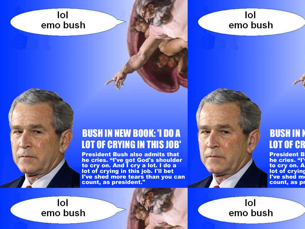 wahwahbush