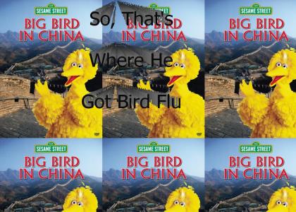 Big Bird Has Bird Flu!