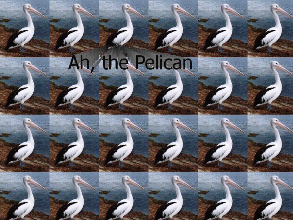 pelicanplastic