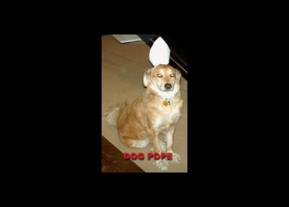 Dog Pope
