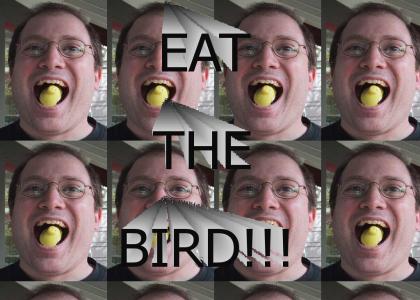 EAT THE BIRD!!!