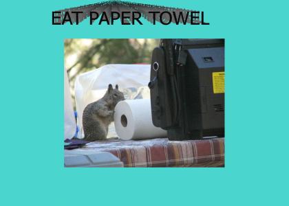 Eat Paper Towel