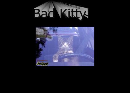 Bad Kitty!