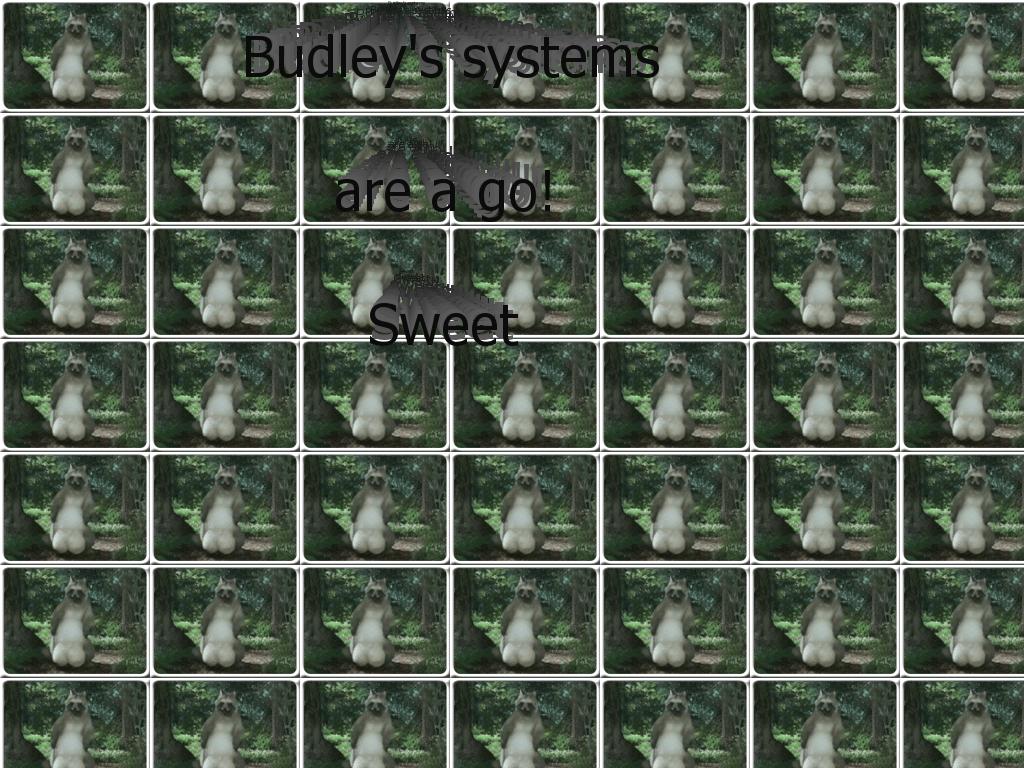 budleyssystems