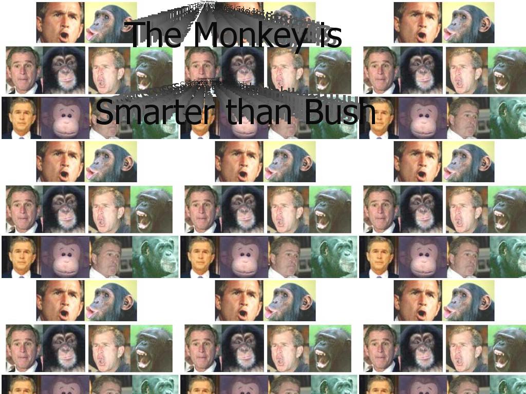 bushisamonkey