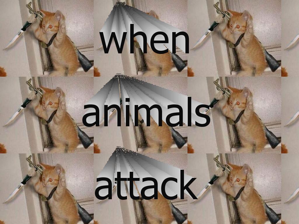 animalattack