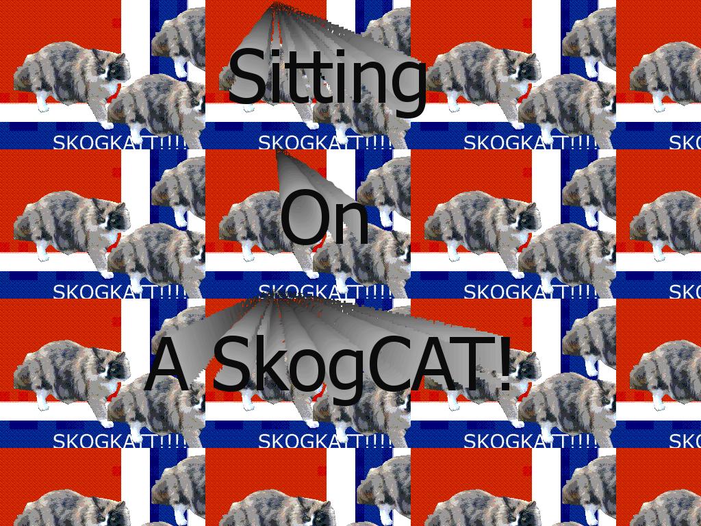 skogkatt