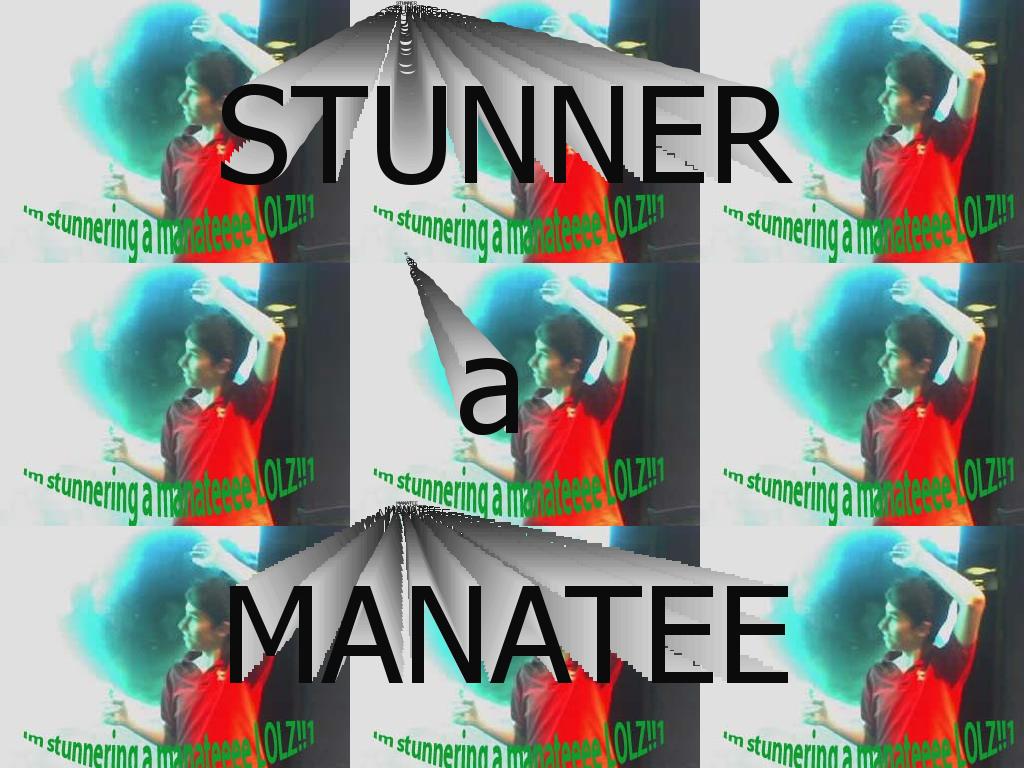 stunnermanatee