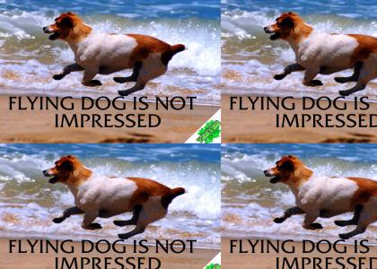 YesYes: Flying dog is not impressed.. V1