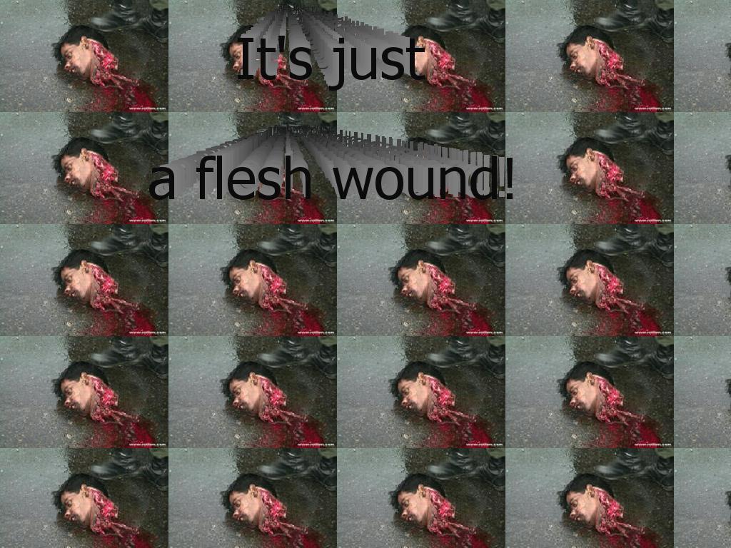 itsjustafleshwound