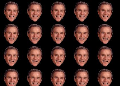 Bush loves you