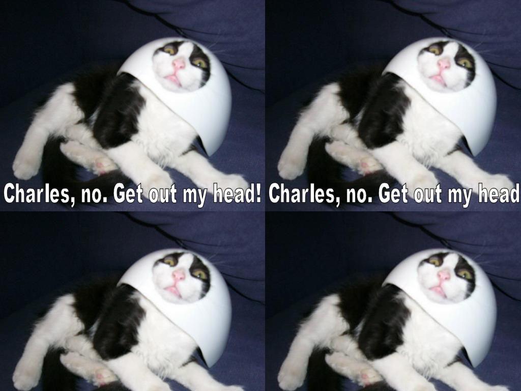 Charlescat