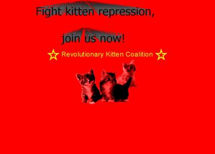 Revolutionary Kitten Coalition