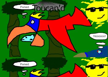 Toucan'd