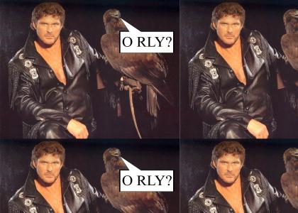 O RLY HASSELHOFF?