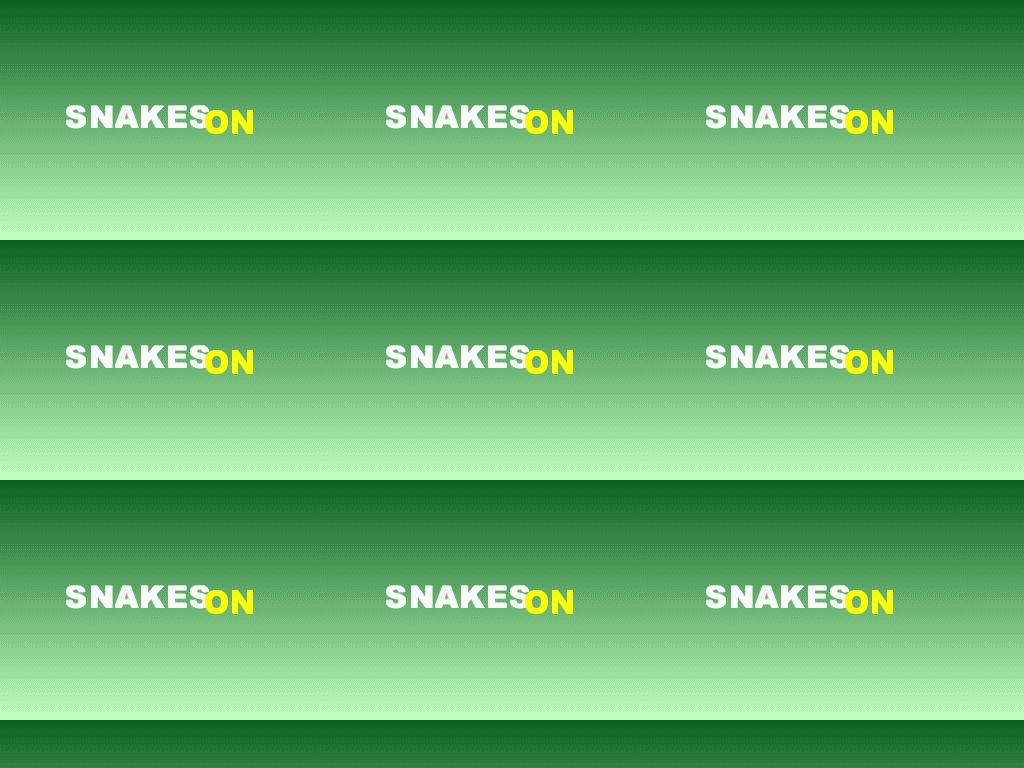 snakeson