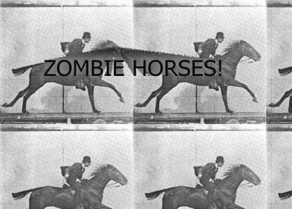 ZOMBIE HORSES!