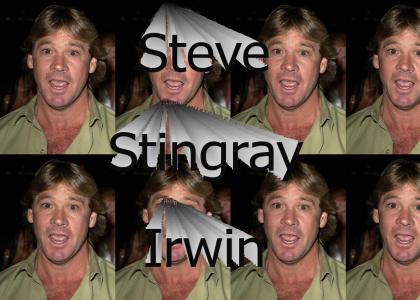 Steve "Stingray" Irwin