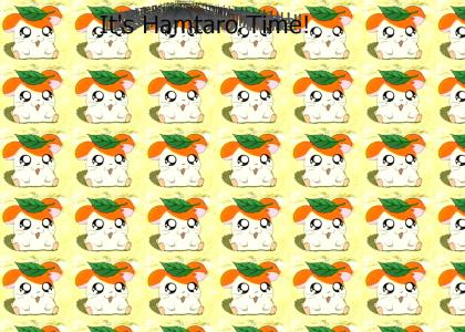 Hamtaro