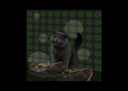 Happy Cat DJ (NEDM)