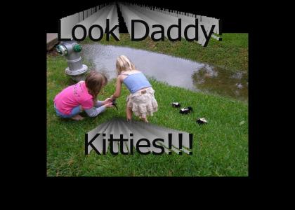 Look Daddy!  Kitties!