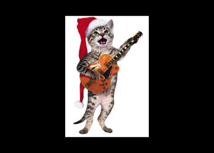 Jingle Cats Wish You a Merry Xmas
