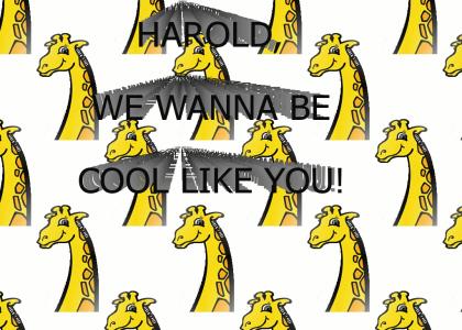 Harold, we wanna be cool like you!