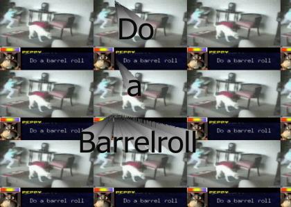 Barrel roll's FTL