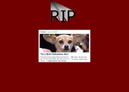 RIP Taco Bell Dog
