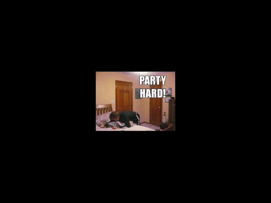 party-hard